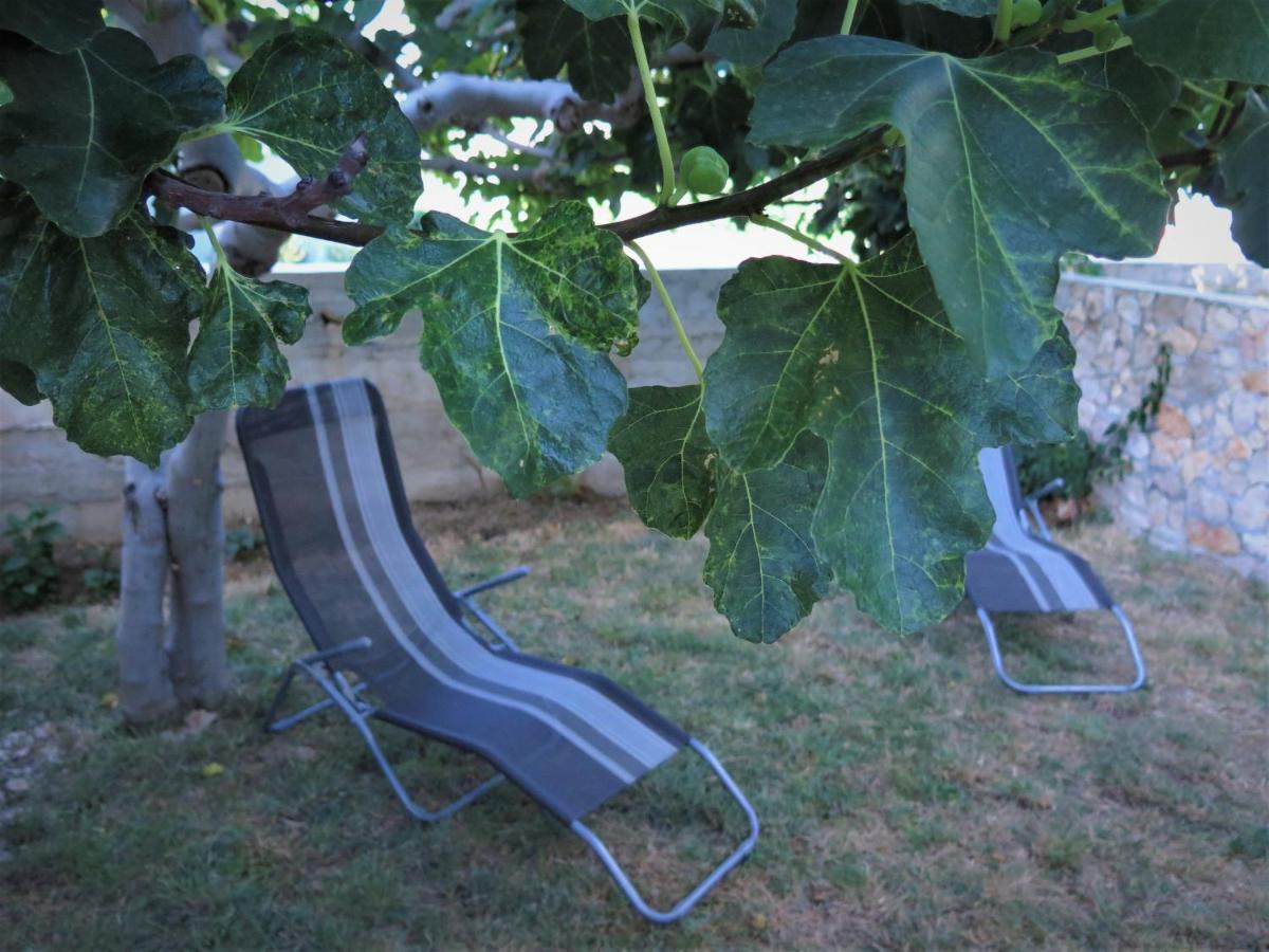Apartments Biba & Lucy Ražanac 部屋 写真