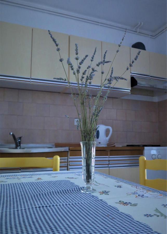 Apartments Biba & Lucy Ražanac エクステリア 写真