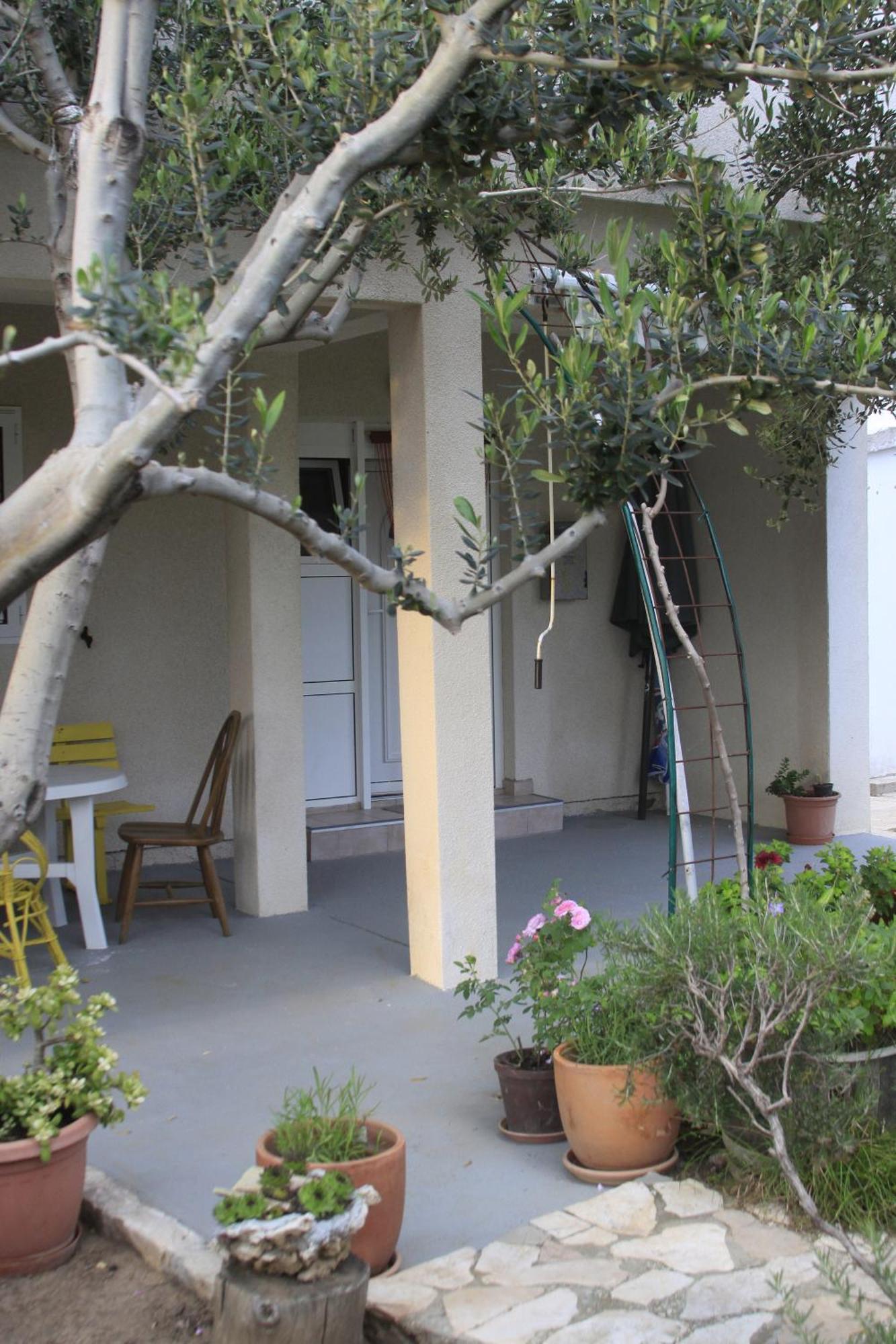 Apartments Biba & Lucy Ražanac 部屋 写真